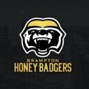 HoneyBadgers